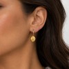 گوشواره عضایی شمش گرد ریز
